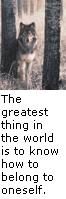 The greatest thing in the world is to know how to belong to oneself.